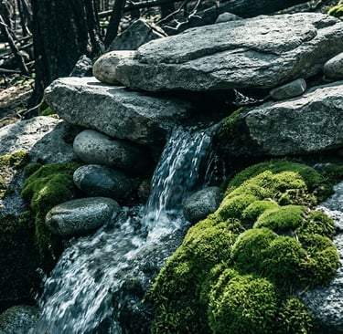 Naturally alkaline spring water sourced from granite rock in the Okanagan valley.