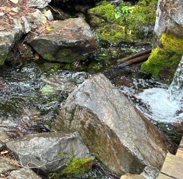 Mountain spring water flowing over mossy rocks with clear natural runoff.