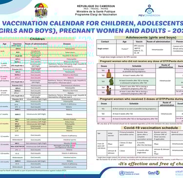 Vaccination calendar chart in Cameroon detailing immunization schedules for children and adults.