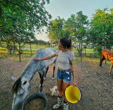a woman petting a white / gray horse