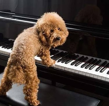 https://pupcareandtraining.com/hardest-things-to-teach-a-dog