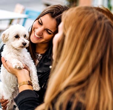 how to socialize a puppy