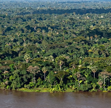 photo of white staircase