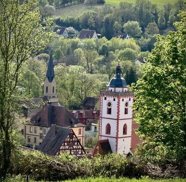 aussicht auf marktbreit vom eigenen weinberg