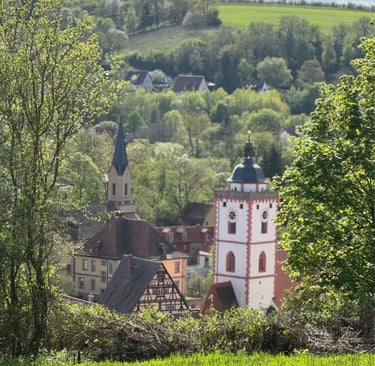 Aussicht vom eigenen Weinberg auf die Altstadt