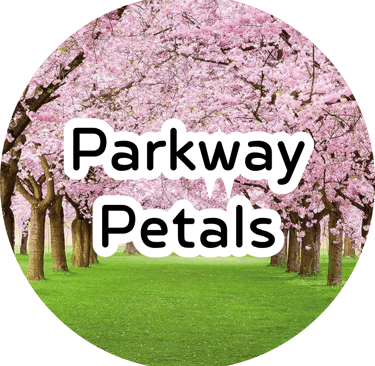 A gorgeous path lined with blossoming pink cherry blossom trees over a lush green grassy lawn on a sunny day.