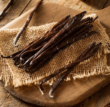 Bundle of dried dark vanilla bean pods lying on a burlap cloth resting on a rustic wooden board background. 