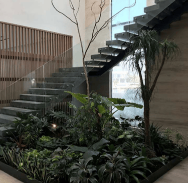 Modern interior design featuring a floating staircase over a lush indoor garden with tropical plants.