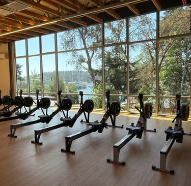 Indoor rowing machines set up and ready for a corporate team-building event