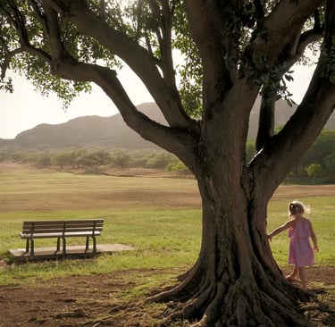 3 Year old girl, in pink dress, playing around a large tree with huge roots.