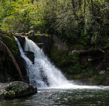 Beautiful waterfalls cascading over moss covered medium sized boulders