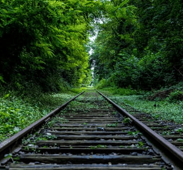 Straight railways tracks surrounded by greenery