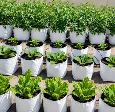 LLDPE Grow Bag Manufacturer in India for Agriculture and Gardening