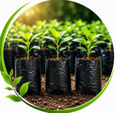 HDPE Nursery Bag Manufacturer in India for Plant Nurseries