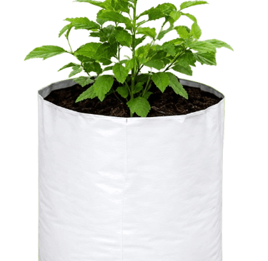 Premium LLDPE Grow Bags for Vegetable Farming