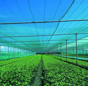 HDPE Shade Net for Polyhouse and Greenhouse Farming