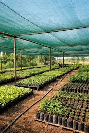 HDPE Shade Net for Plant Nursery and Greenhouse