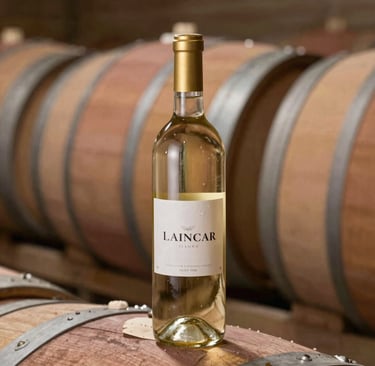 A collection of Sega Megadrive consoles lit by dark neon lighting