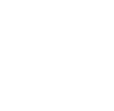 persona con estilo icono