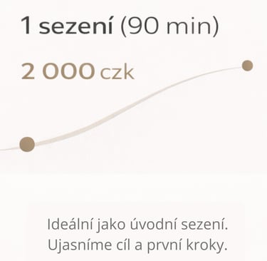 Balíček koučinku – jedno úvodní sezení na 90 minut pro ujasnění cíle a prvních kroků.