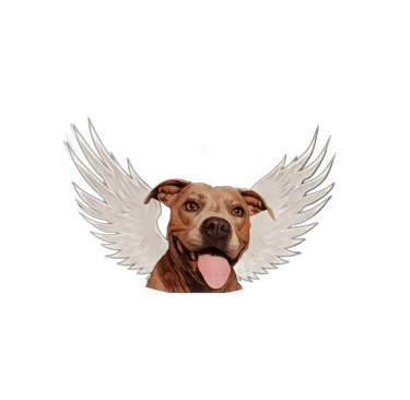A happy dog with white angel wings against a black background. The dog's tongue is out, expressing joy and playfulness.