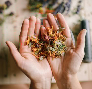 Hands holding colourful dried herbs and flower petals.