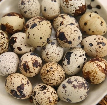 Nguồn sỉ Trứng Chim Cút Đông Anh, Hà Nội Chim Cút Thịt Chim Bồ Câu Thịt