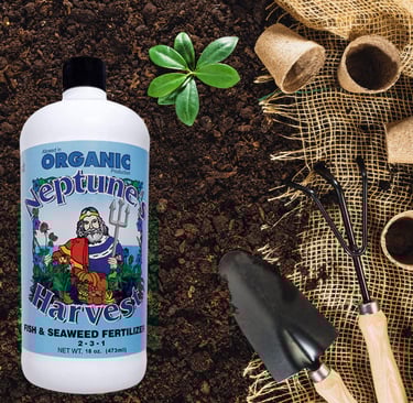 Neptune’s Harvest organic fish and seaweed garden fertilizer concentrate.