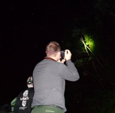 A photographer wearing a headlamp takes night photos in a dark forest using a digital camera.