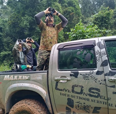 Lost Borneo adventure tour guests obeserving wildlife at Deramakot