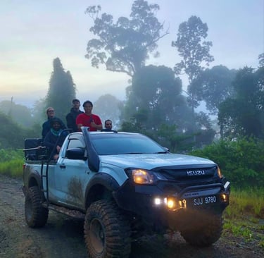 Guest looking for wildlife standing at the back of the truck looking for wildlife at Deramakot