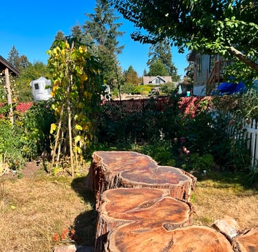 large and thick wooden slabs in a garden