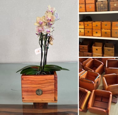 clique para detalhes dos cachepôs ou porta-vasos
