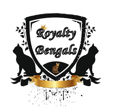 Royalty Bengals logo featuring a crest with cat silhouettes and a spotted Bengal kitten.