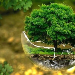 dératisation eco responsable a Nice