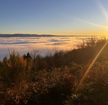 vue au dessus des nuages, illustrant la marche consciente qui élargira votre vision de vos possibles