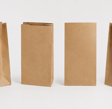 Paper bags bulk packaging supplier NEW GURUNANAK PLASTIC & PACKAGING Indore Madhya Pradesh