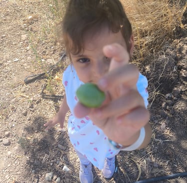 a little girl holding a green apple in her hand