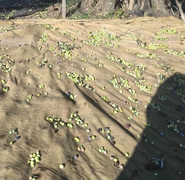 a bench with a bench and a bench in the background