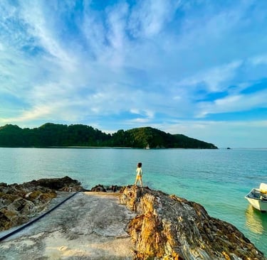 freedom from algorithm