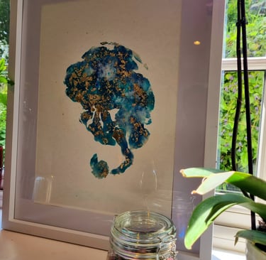 Placenta encapsulation included in birth packages