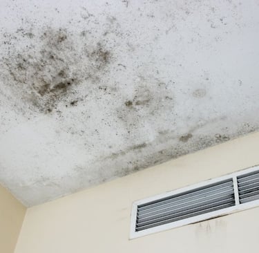 black mold on a ceiling
