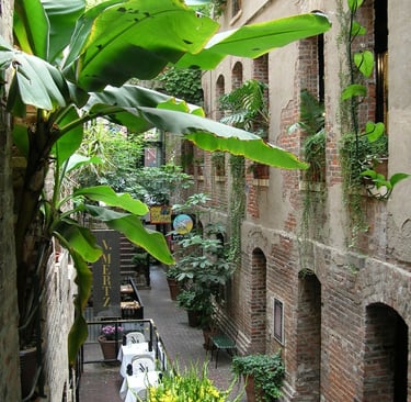 a covered alley with doorways and windows on two levels on the sides with plants in the windows