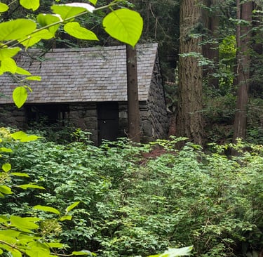 a stone cottage in a forest