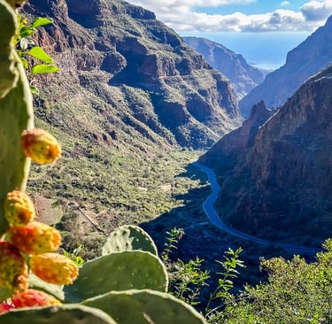Barranco de Guayadeque