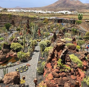 Jardín de cactus