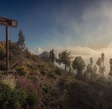 Pico de las Nieves