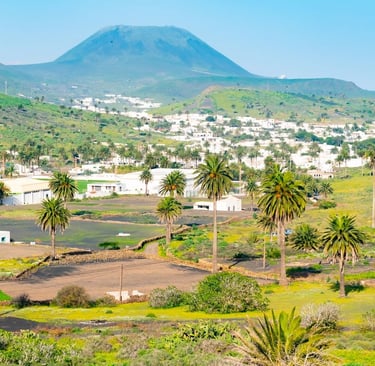 Valle de las Mil Palmeras