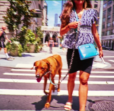 NYC walking dog | rollbak | Photographe mariage Hauts de France