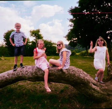 Enfants sur la branche | rollbak | Photographe mariage Lille - Dunkerque - Arras